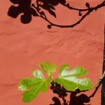 Appartamento Pyttegarden Gudhjem