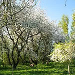 Pyttegarden