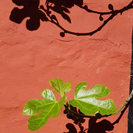 Apartman Pyttegarden Gudhjem