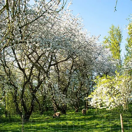 Pyttegarden