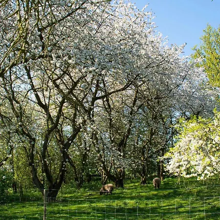 Pyttegarden * Gudhjem