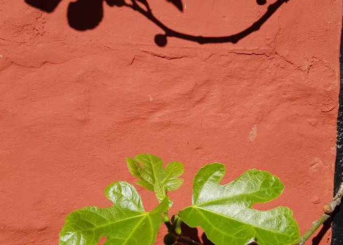 Lejlighed Pyttegarden Gudhjem