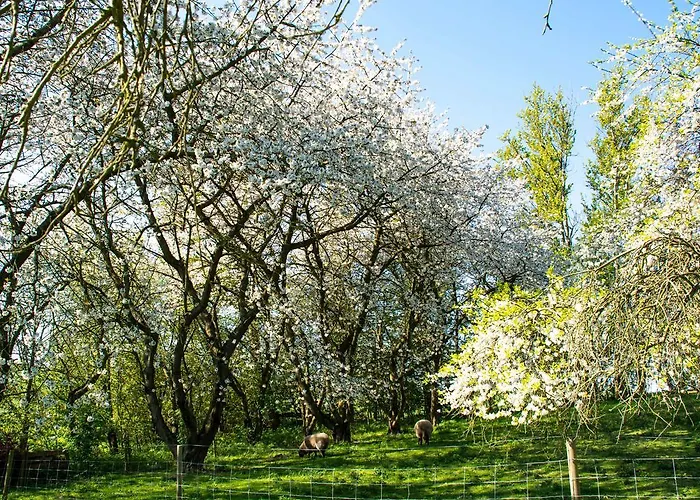 Pyttegarden
